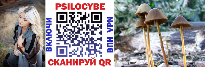 Псилоцибиновые грибы прущие грибы  Купить  Тотьма 