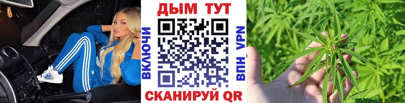 Конопля Bruce Banner Тотьма